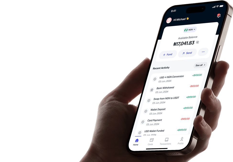 FabexPay app mockup